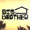 Big Brother, Season 16 cast, spoilers, episodes, reviews