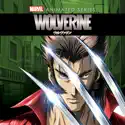 Wolverine Anime Series, Season 1 release date, synopsis, reviews