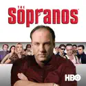 The Sopranos, Season 1 release date, synopsis and reviews