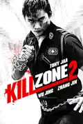 Kill Zone 2 summary, synopsis, reviews