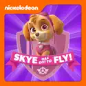 PAW Patrol, Skye Has Got to Fly! cast, spoilers, episodes, reviews