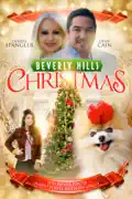 Beverly Hills Christmas summary, synopsis, reviews