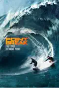 Point Break (2015) summary, synopsis, reviews