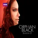 Orphan Black, Season 2 cast, spoilers, episodes, reviews
