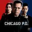 Chicago PD, Season 2 cast, spoilers, episodes, reviews