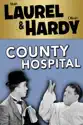 Laurel & Hardy: County Hospital summary and reviews