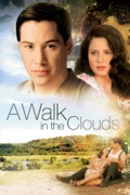 A Walk in the Clouds reviews, watch and download
