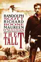 The Tall T summary and reviews