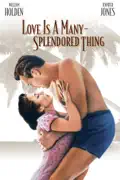 Love Is a Many Splendored Thing summary, synopsis, reviews