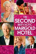 The Second Best Exotic Marigold Hotel summary, synopsis, reviews