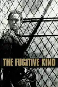 The Fugitive Kind summary, synopsis, reviews