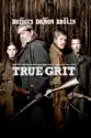 True Grit (2010) summary and reviews