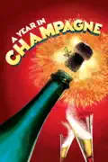A Year in Champagne summary, synopsis, reviews