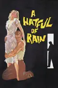 A Hatful of Rain summary, synopsis, reviews