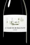 A Year in Burgundy summary, synopsis, reviews
