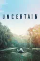 Uncertain summary and reviews