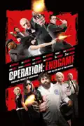 Operation: Endgame summary, synopsis, reviews