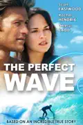 The Perfect Wave summary, synopsis, reviews