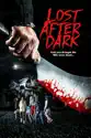Lost After Dark summary and reviews