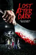 Lost After Dark summary, synopsis, reviews