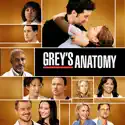 Grey's Anatomy, Season 5 cast, spoilers, episodes, reviews