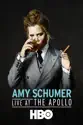 Amy Schumer: Live at the Apollo summary and reviews