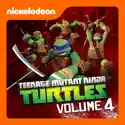 Teenage Mutant Ninja Turtles, Vol. 4 cast, spoilers, episodes, reviews