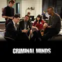 Criminal Minds, Season 4 cast, spoilers, episodes, reviews