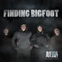 Finding Bigfoot, Season 7 watch, hd download