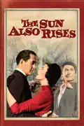 The Sun Also Rises summary, synopsis, reviews