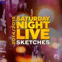 SNL: 2014/15 Season Sketches cast, spoilers, episodes, reviews