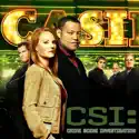 Lover's Lanes (CSI: Crime Scene Investigation) recap, spoilers