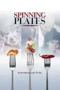 Spinning Plates summary, synopsis, reviews