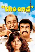 The End summary, synopsis, reviews