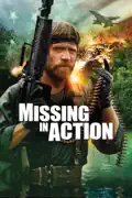 Missing In Action summary, synopsis, reviews