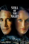 Still of the Night summary, synopsis, reviews