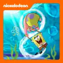 SpongeBob SquarePants, Season 8 cast, spoilers, episodes, reviews