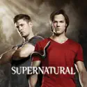 Supernatural, Season 6 cast, spoilers, episodes, reviews