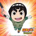 Naruto Spin-Off: Rock Lee & His Ninja Pals (Original Japanese Version), Season 1, Vol. 1 release date, synopsis, reviews