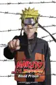 Naruto Shippuden the Movie: Blood Prison summary and reviews
