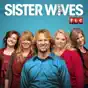 Sister Wives, Season 7