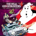 The Real Ghostbusters, Vol. 4 watch, hd download