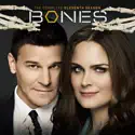 Bones, Season 11 cast, spoilers, episodes, reviews