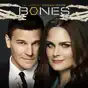 Bones, Season 11