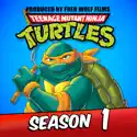 Turtle Tracks - Teenage Mutant Ninja Turtles (Classic Series) from Teenage Mutant Ninja Turtles (Classic Series), Season 1