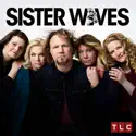 Sister Wives, Season 10 watch, hd download