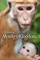 Disneynature: Monkey Kingdom summary and reviews