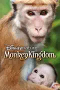 Disneynature: Monkey Kingdom summary, synopsis, reviews