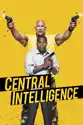 Central Intelligence summary and reviews