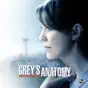Grey's Anatomy, Season 11